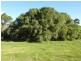 Lot 2 Kudardup Road, Kudardup WA 6290