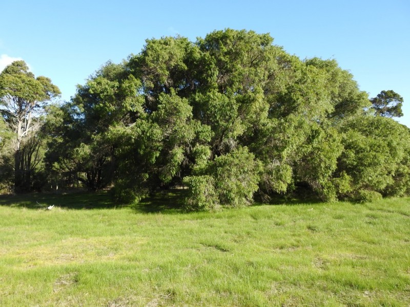 Lot 2 Kudardup Road, Kudardup WA 6290