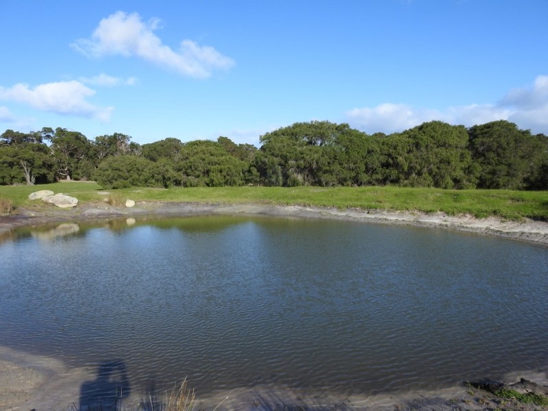 Lot 2 Kudardup Road, Kudardup WA 6290