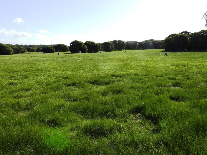 Lot 2 Kudardup Road, Kudardup WA 6290