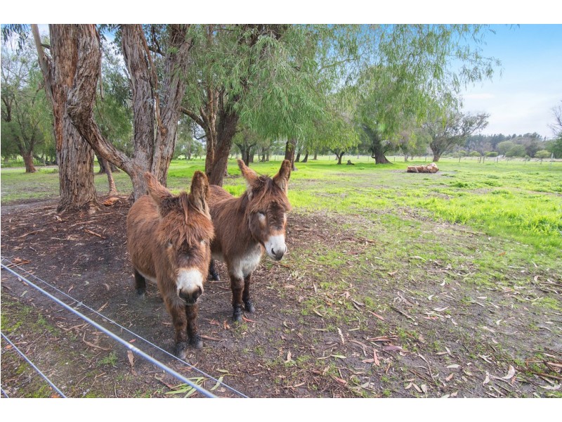 278 Chapman Hill Road, Ambergate WA 6280