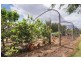 19 Fitzroy Link, Vasse WA 6280