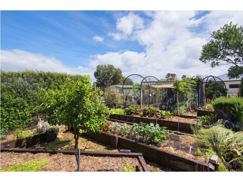 19 Fitzroy Link, Vasse WA 6280