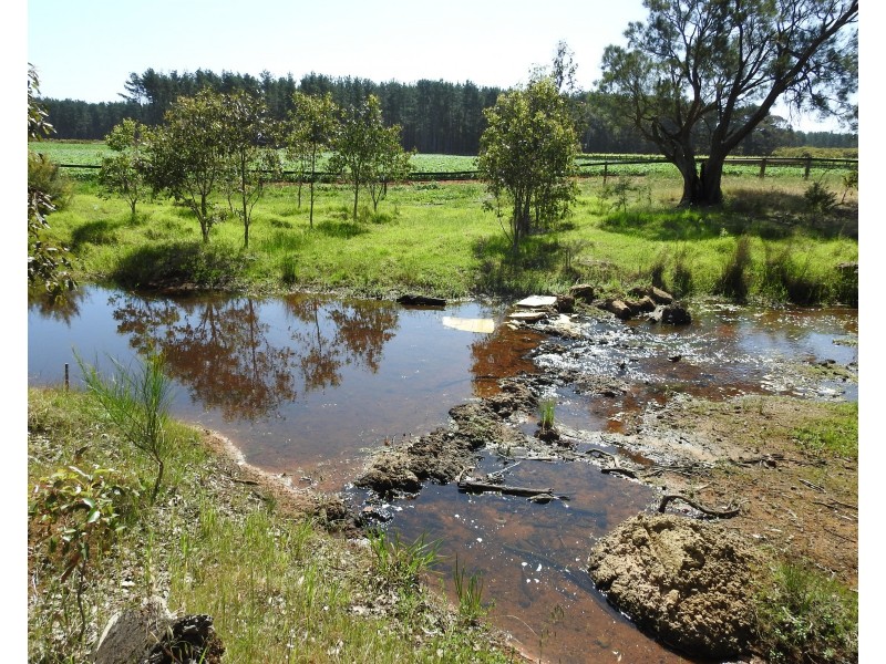 938 Kaloorup Road, Kaloorup WA 6280