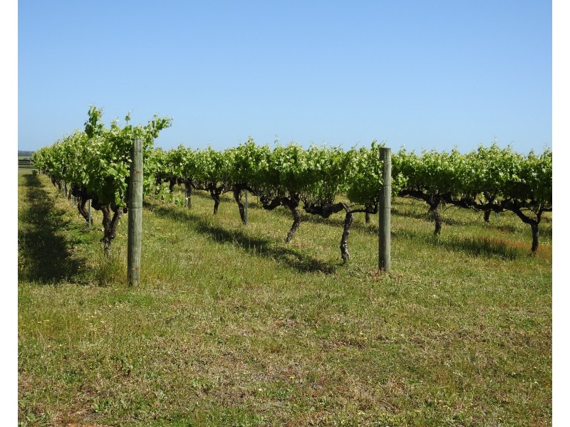 938 Kaloorup Road, Kaloorup WA 6280