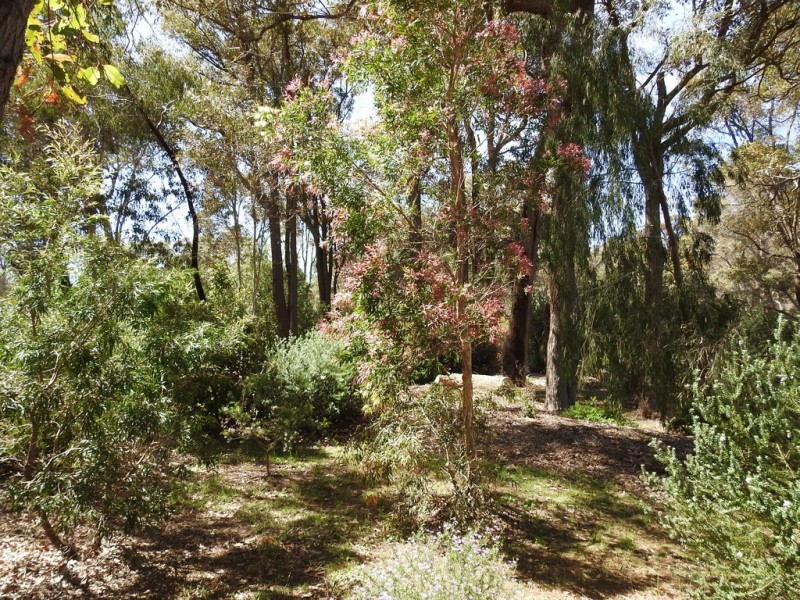 52 Treeton Road, Cowaramup WA 6284