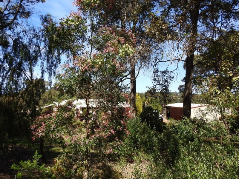 52 Treeton Road, Cowaramup WA 6284