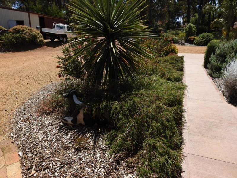 52 Treeton Road, Cowaramup WA 6284