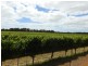 Cowaramup WA 6284
