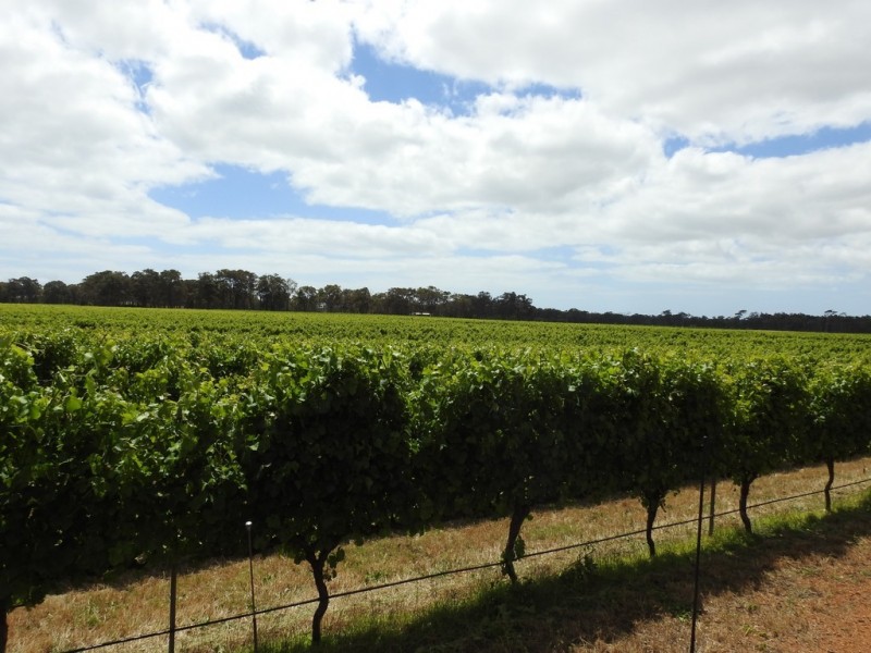 Cowaramup WA 6284