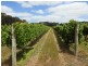 Cowaramup WA 6284