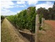Cowaramup WA 6284