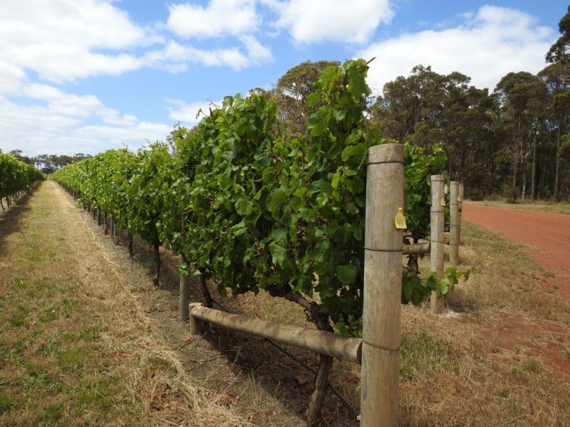 Cowaramup WA 6284