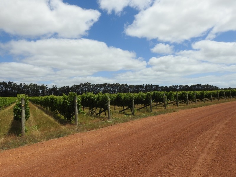 Cowaramup WA 6284