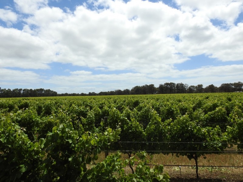 Cowaramup WA 6284