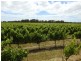Cowaramup WA 6284