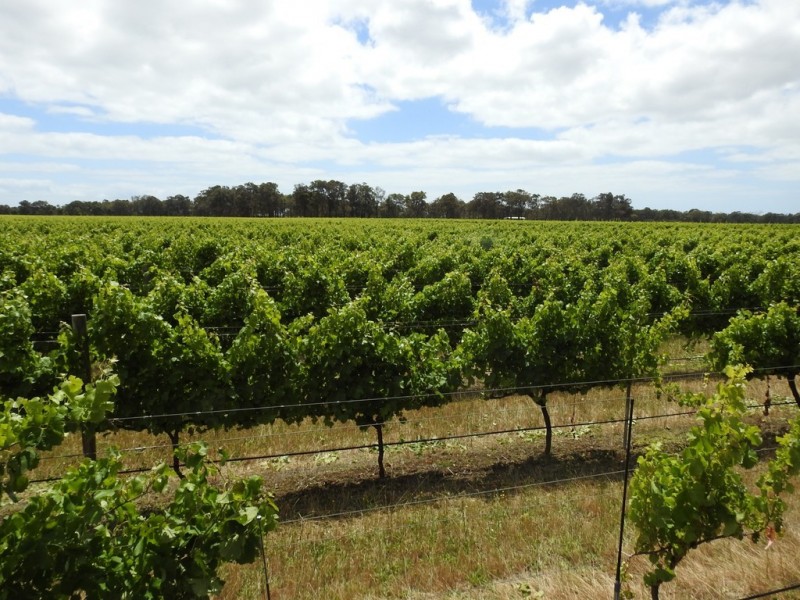 Cowaramup WA 6284
