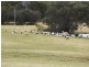 Cowaramup WA 6284