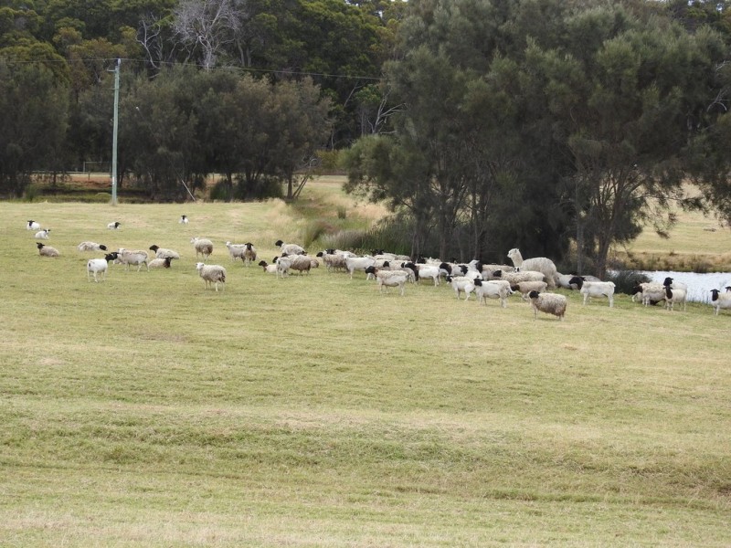 Cowaramup WA 6284