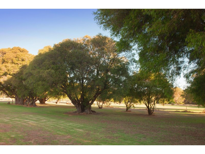 74 Clark Drive, Alexandra Bridge WA 6288