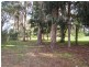 85 Payne Road, North Jindong WA 6280
