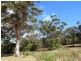 Lot 632 Wallcliffe Road, Margaret River WA 6285
