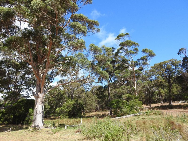 Lot 632 Wallcliffe Road, Margaret River WA 6285