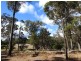 Lot 632 Wallcliffe Road, Margaret River WA 6285