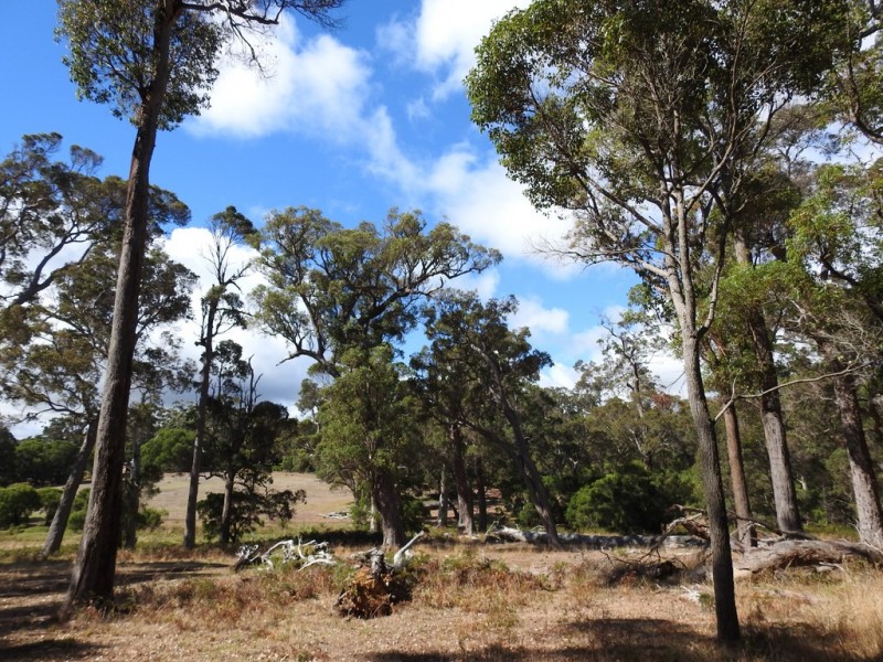 Lot 632 Wallcliffe Road, Margaret River WA 6285