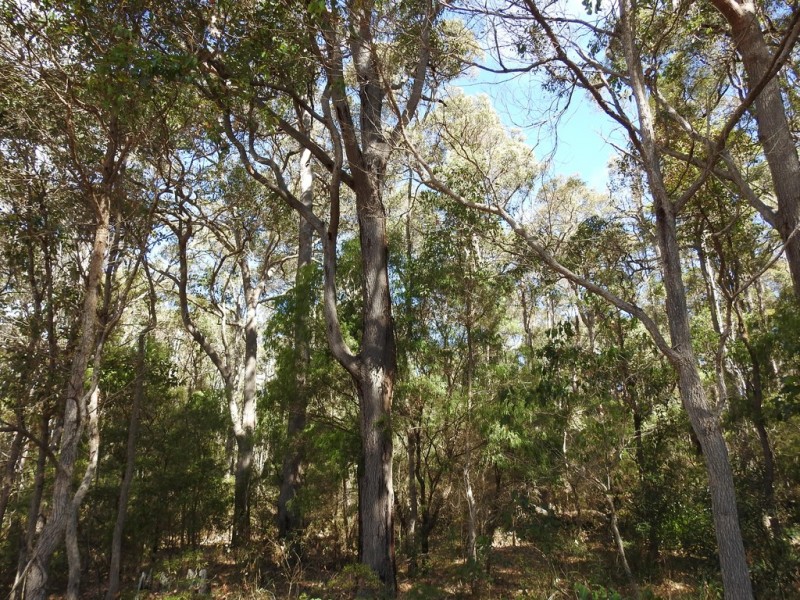 Lot 632 Wallcliffe Road, Margaret River WA 6285