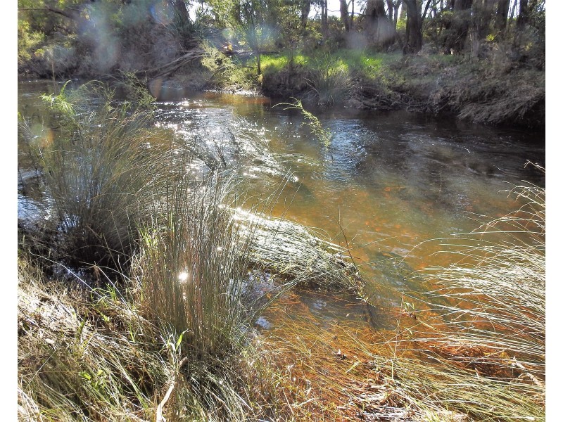 Lot 86 Vasse-Yallingup Siding Road, Marybrook WA 6280