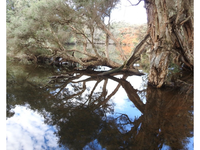 Lot 86 Vasse-Yallingup Siding Road, Marybrook WA 6280