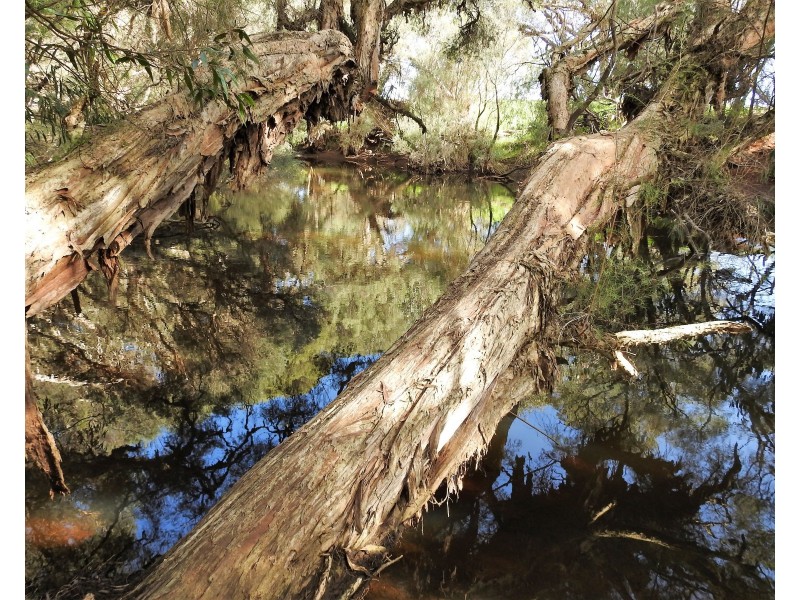 Lot 86 Vasse-Yallingup Siding Road, Marybrook WA 6280