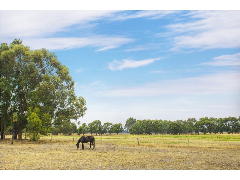 153 Sanson Road, Yoongarillup WA 6280