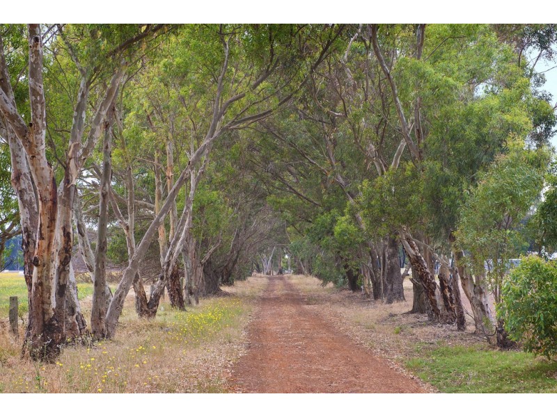 153 Sanson Road, Yoongarillup WA 6280