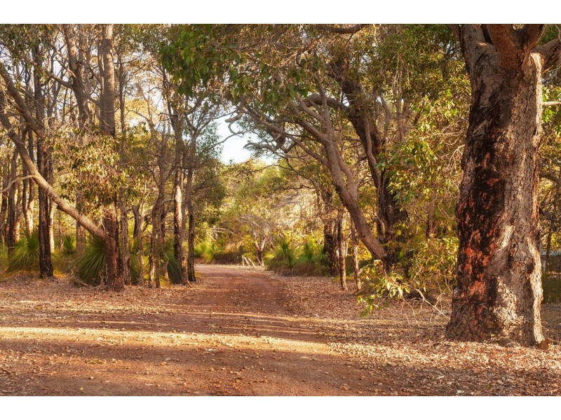33 Koorabin Drive, Yallingup WA 6282