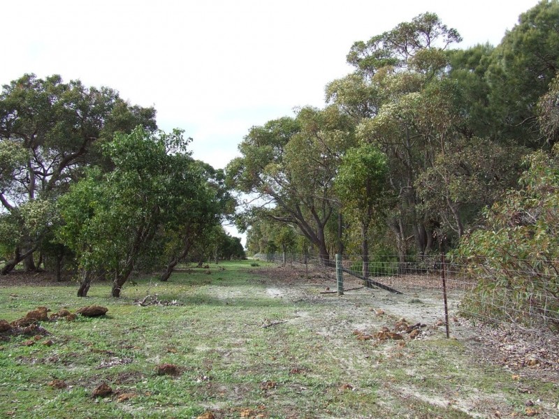 Lot 52 Nuttman Road, Walsall WA 6280