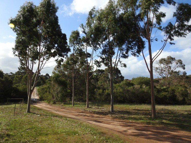 475 Davis Road, Witchcliffe WA 6286