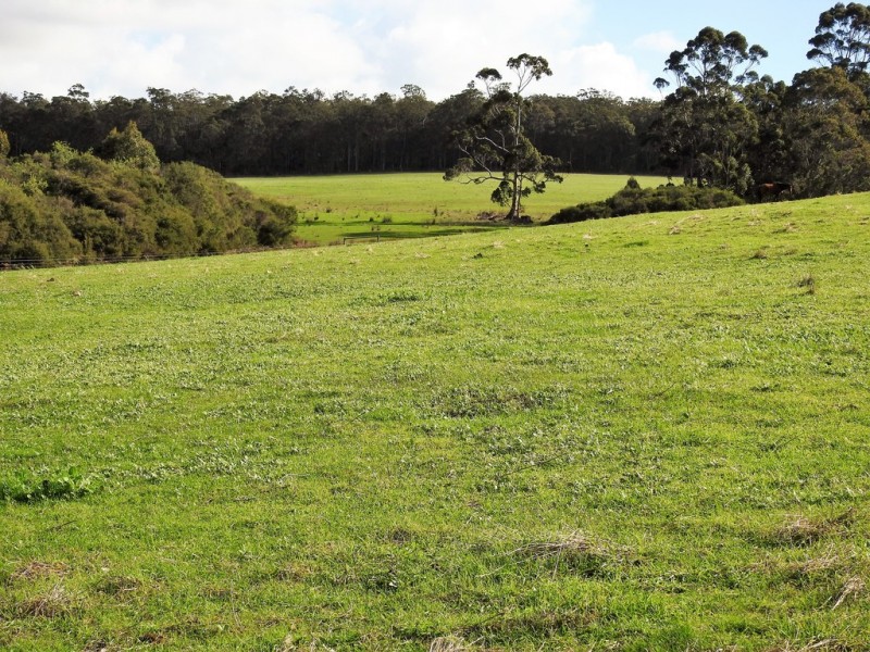 475 Davis Road, Witchcliffe WA 6286