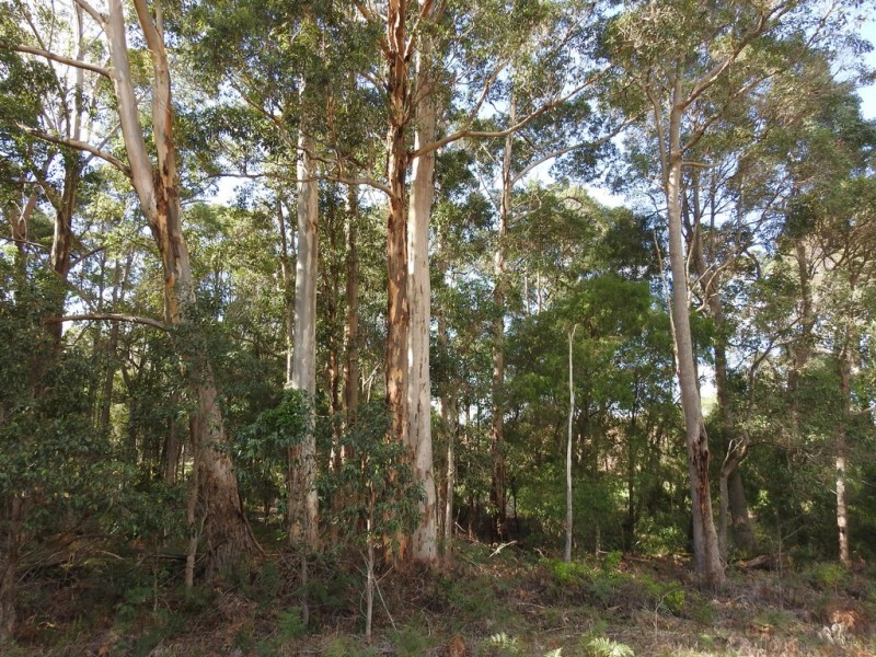 475 Davis Road, Witchcliffe WA 6286