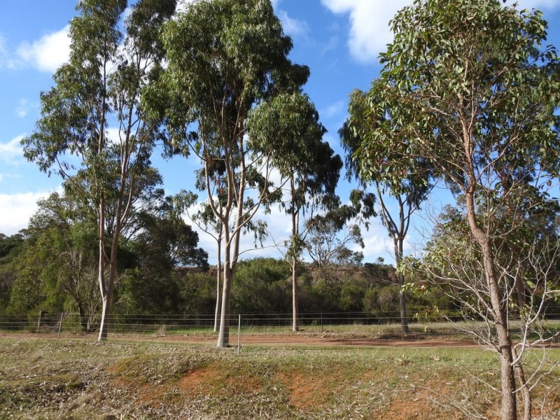 475 Davis Road, Witchcliffe WA 6286