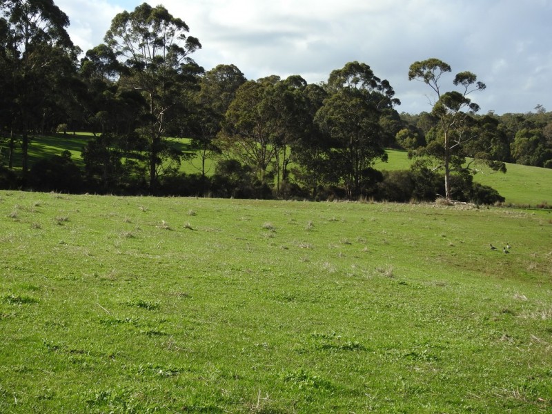 475 Davis Road, Witchcliffe WA 6286