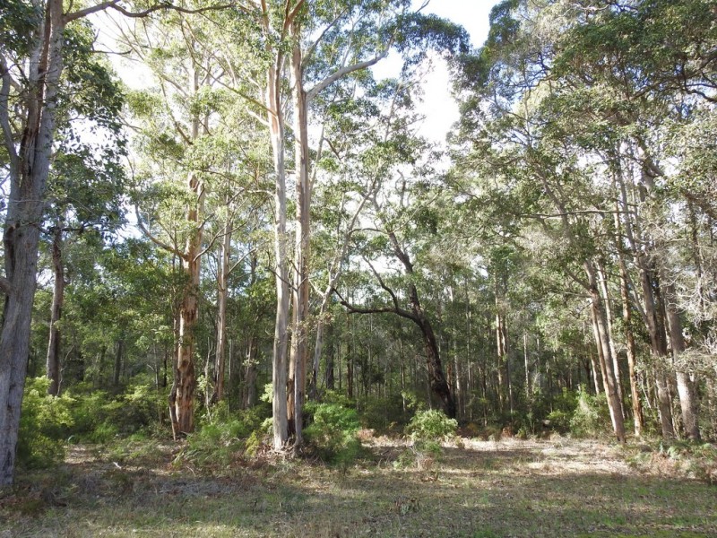 475 Davis Road, Witchcliffe WA 6286