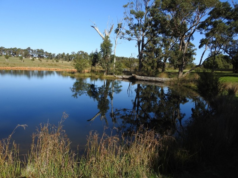 62 Harmans Mill Road, Metricup WA 6280