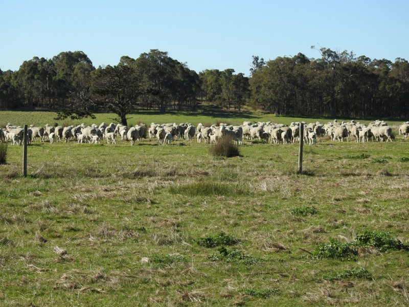 62 Harmans Mill Road, Metricup WA 6280