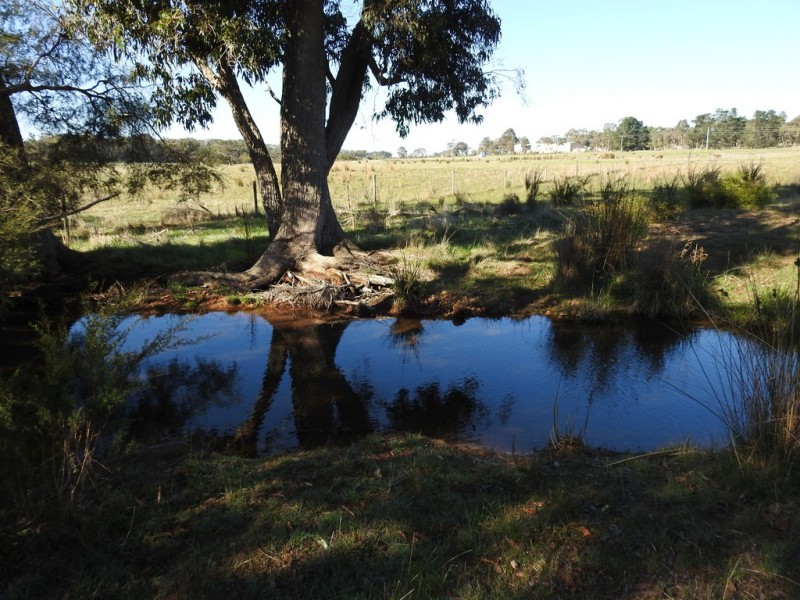 62 Harmans Mill Road, Metricup WA 6280