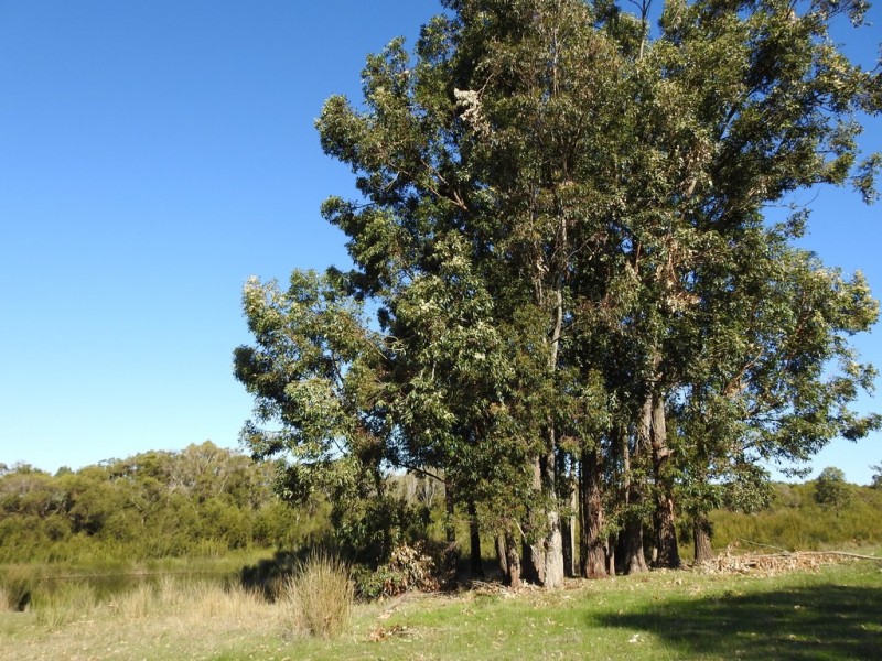 62 Harmans Mill Road, Metricup WA 6280