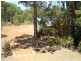 157 Wilderness Road, Margaret River WA 6285