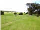 Lot 10 Kudardup Road, Kudardup WA 6290