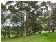 Lot 10 Kudardup Road, Kudardup WA 6290